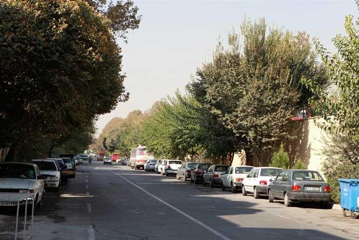 یاد خیّر مهرآباد بخیر یاد خیّر مهرآباد بخیر
