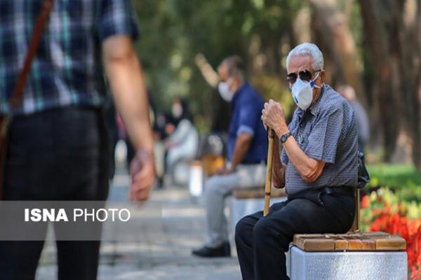 بهره مندی 55 هزار سالمند از خدمات بهزیستی در فارس